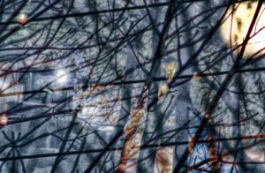 branches d'arbre